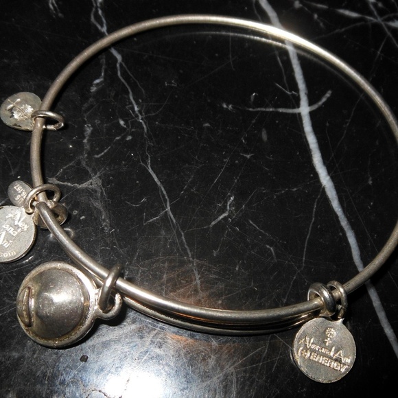 Alex and Ani March Birthstone Aquamarine Rafaelian - Picture 2 of 7